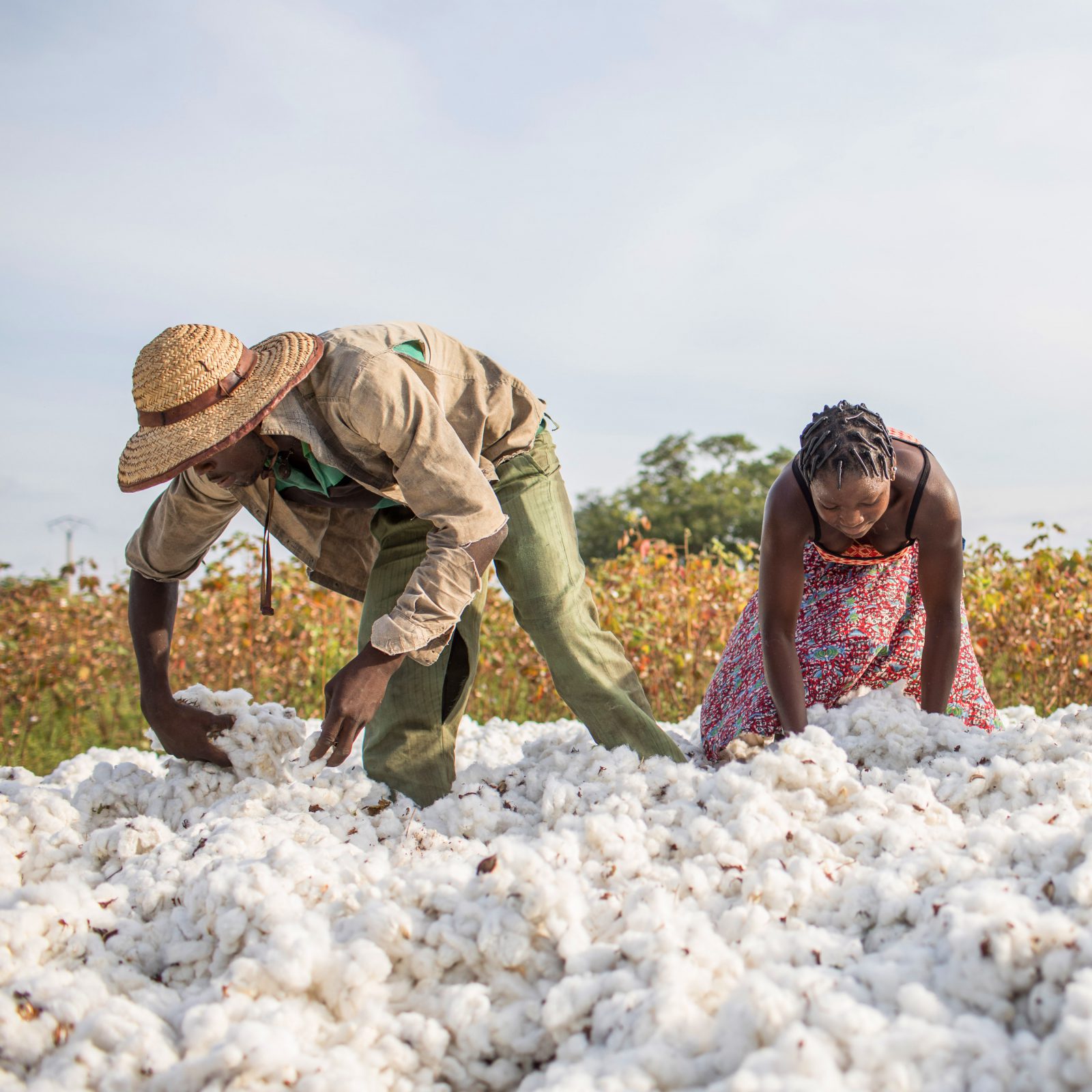 Initialement dédié à l’égrenage du Coton, la SODECO, il y a 3 ans, s’est intéressée aux intrants Coton, puis 1 an après aux intrants Céréales.