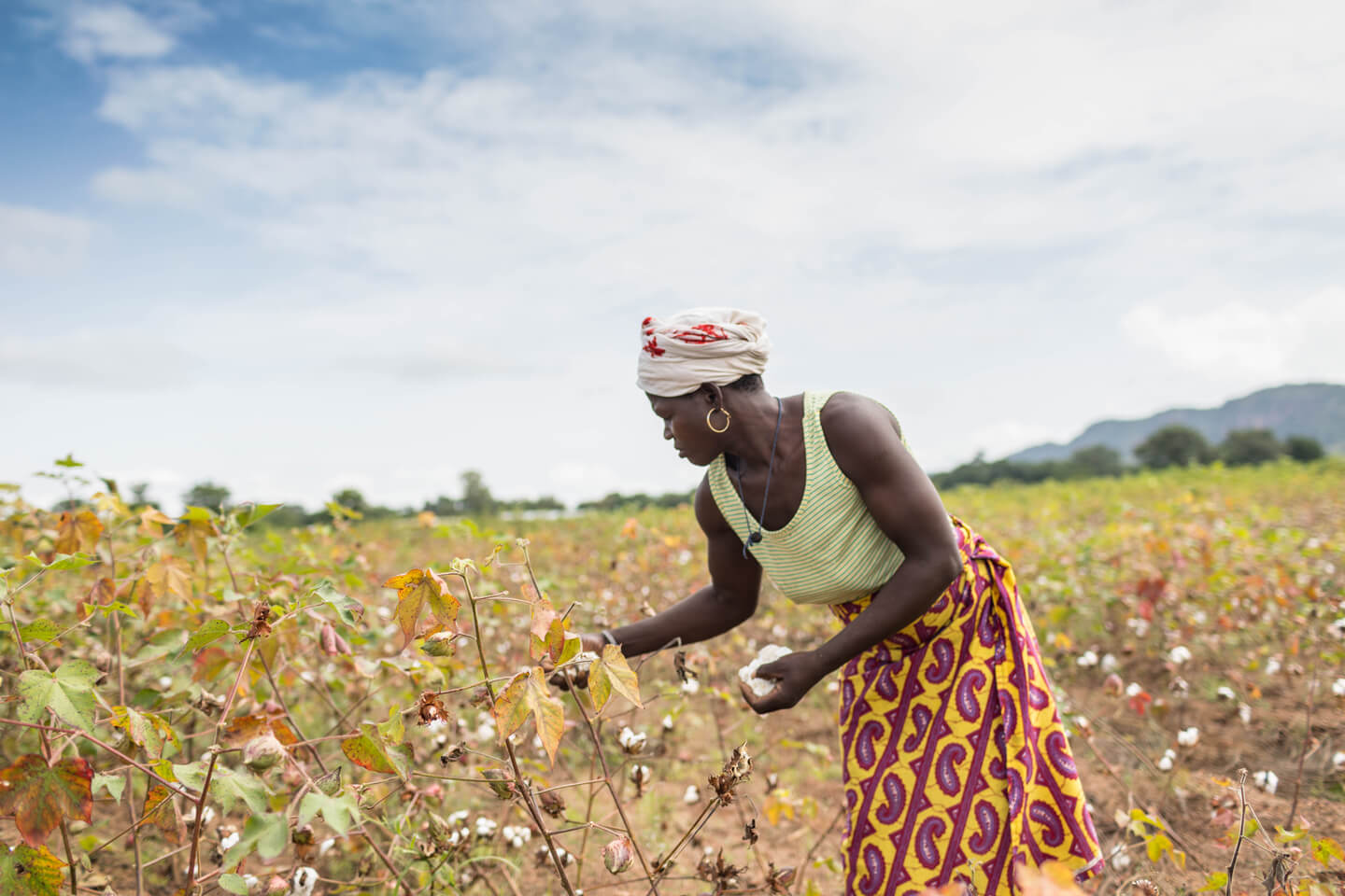 Depuis Mai 2018, la SODECO a mis en place la Cellule intrants Vivriers dont l’objet était de travailler sur le projet d’importation et commercialisation sur toute l’étendue du territoire national